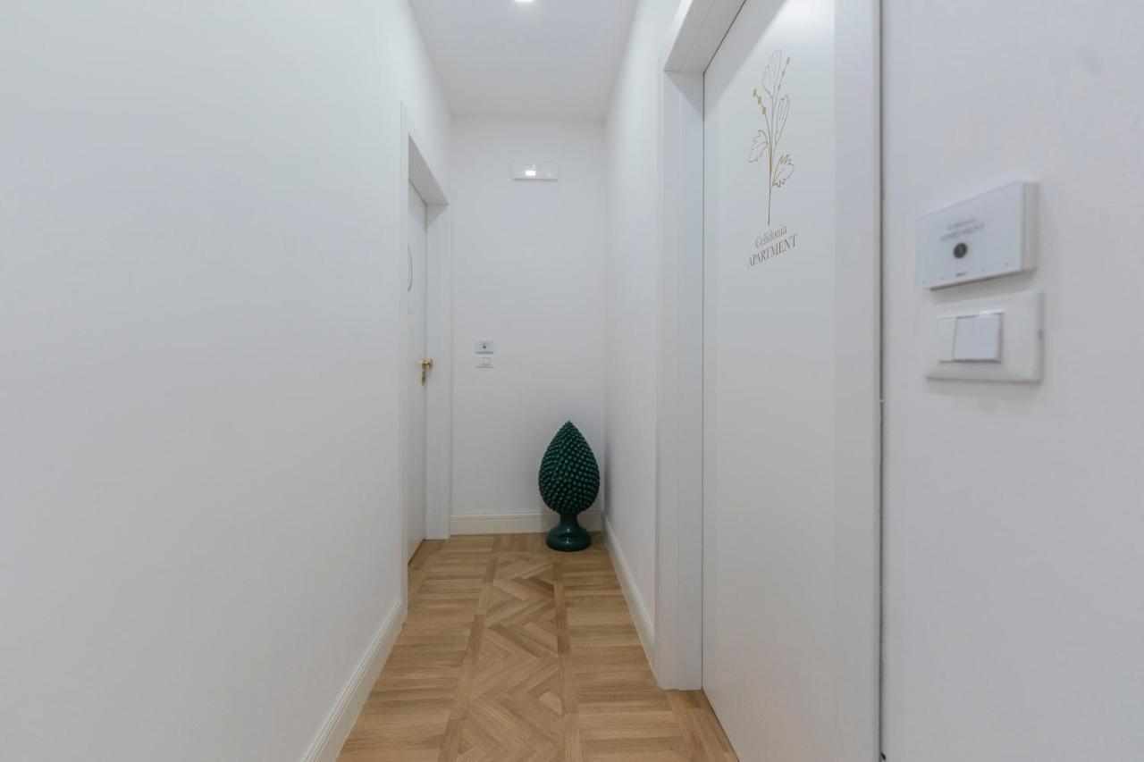 Aldrovandi Luxury Suites And Apartment Bolonia Zewnętrze zdjęcie